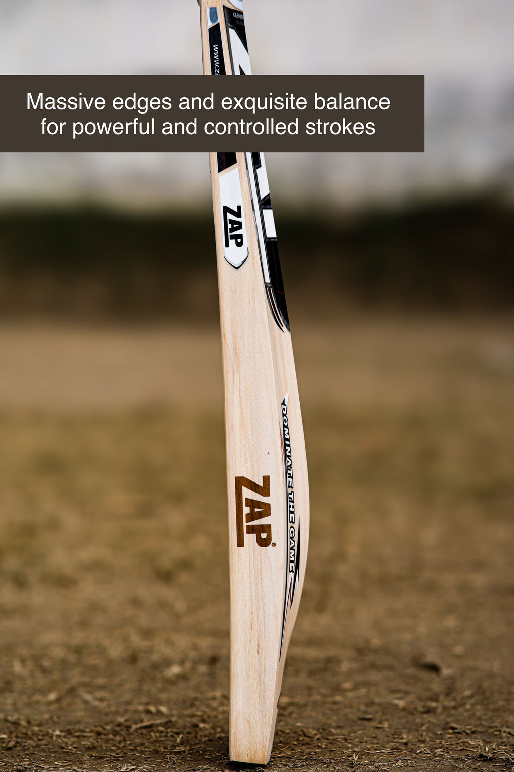 ZAP Alpha Kashmir Willow Cricket Bat-3